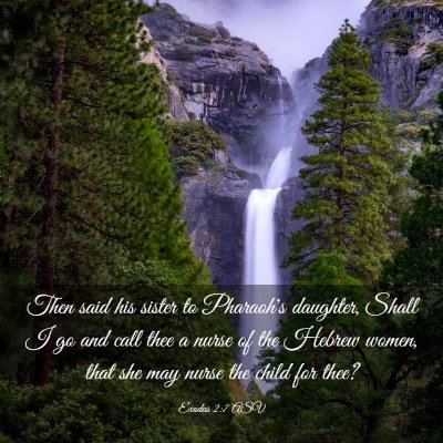 Picture 03 - Exodus 2:7 ASV - Then said his sister to Pharaoh's daughter, Shall - Bible Verse Picture