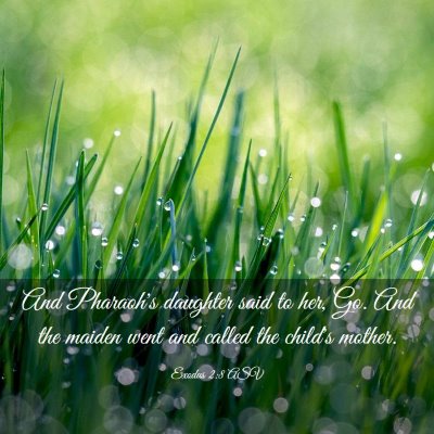 Picture 03 - Exodus 2:8 ASV - And Pharaoh's daughter said to her, Go. And the - Bible Verse Picture