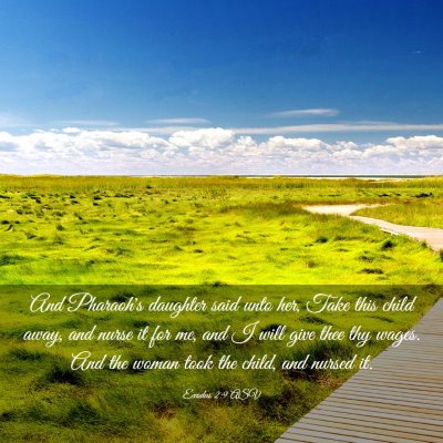Picture 03 - Exodus 2:9 ASV - And Pharaoh's daughter said unto her, Take this - Bible Verse Picture