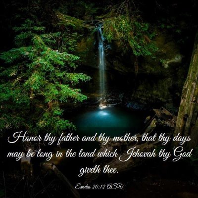 Picture 03 - Exodus 20:12 ASV - Honor thy father and thy mother, that thy days - Bible Verse Picture
