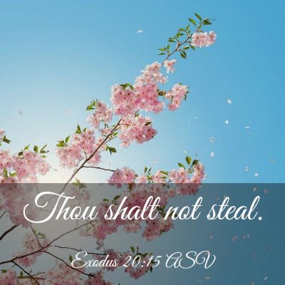 Picture 03 - Exodus 20:15 ASV - Thou shalt not - Bible Verse Picture