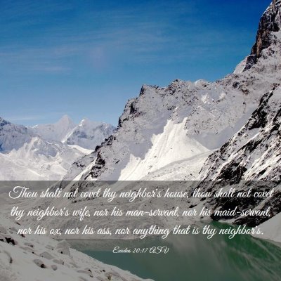 Picture 03 - Exodus 20:17 ASV - Thou shalt not covet thy neighbor's house, thou - Bible Verse Picture