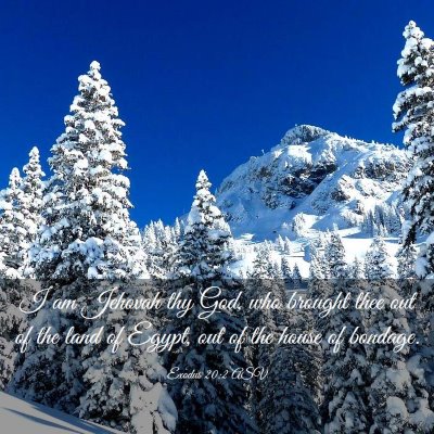 Picture 03 - Exodus 20:2 ASV - I am Jehovah thy God, who brought thee out of the - Bible Verse Picture