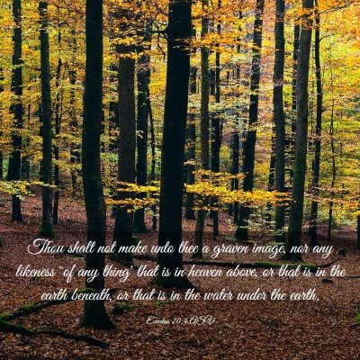 Picture 03 - Exodus 20:4 ASV - Thou shalt not make unto thee a graven image, nor - Bible Verse Picture