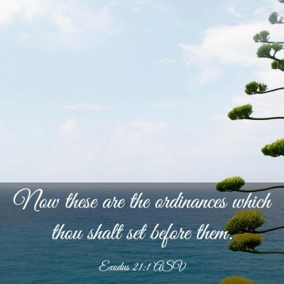 Picture 03 - Exodus 21:1 ASV - Now these are the ordinances which thou shalt set - Bible Verse Picture