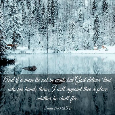 Picture 03 - Exodus 21:13 ASV - And if a man lie not in wait, but God deliver - Bible Verse Picture