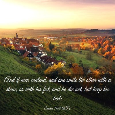 Picture 03 - Exodus 21:18 ASV - And if men contend, and one smite the other with - Bible Verse Picture