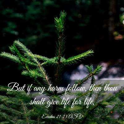 Picture 03 - Exodus 21:23 ASV - But if any harm follow, then thou shalt give life - Bible Verse Picture