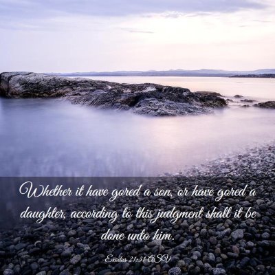 Picture 03 - Exodus 21:31 ASV - Whether it have gored a son, or have gored a - Bible Verse Picture
