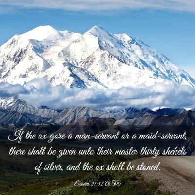 Picture 03 - Exodus 21:32 ASV - If the ox gore a man-servant or a maid-servant, - Bible Verse Picture