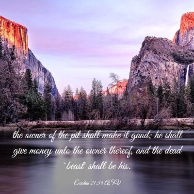 Picture 03 - Exodus 21:34 ASV - the owner of the pit shall make it good; he shall - Bible Verse Picture