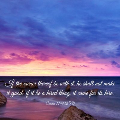 Picture 03 - Exodus 22:15 ASV - If the owner thereof be with it, he shall not - Bible Verse Picture