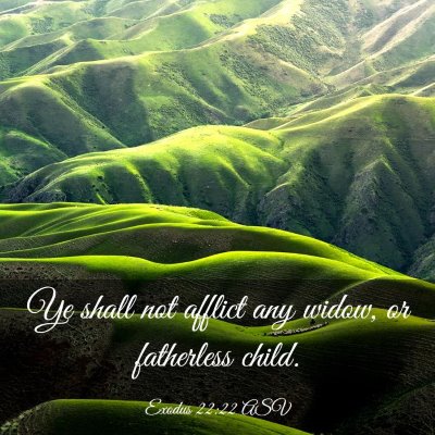 Picture 03 - Exodus 22:22 ASV - Ye shall not afflict any widow, or fatherless - Bible Verse Picture