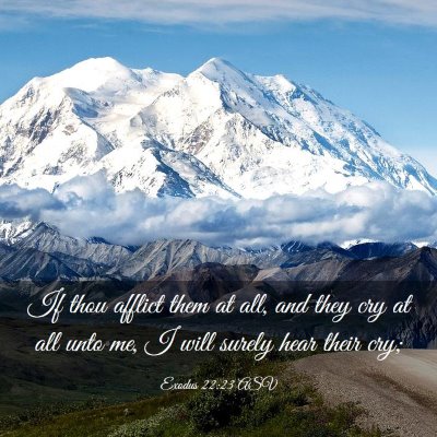Picture 03 - Exodus 22:23 ASV - If thou afflict them at all, and they cry at all - Bible Verse Picture