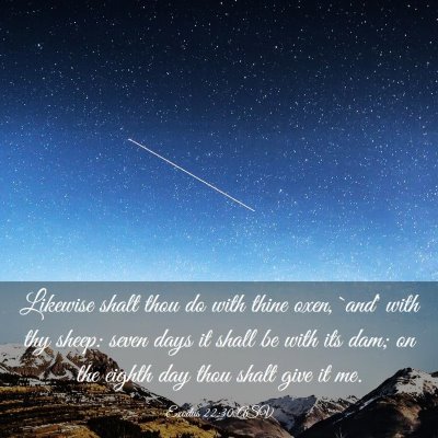 Picture 03 - Exodus 22:30 ASV - Likewise shalt thou do with thine oxen, `and' - Bible Verse Picture