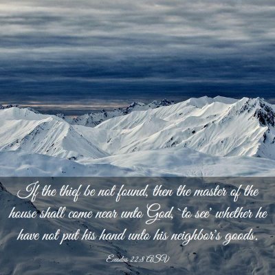 Picture 03 - Exodus 22:8 ASV - If the thief be not found, then the master of the - Bible Verse Picture