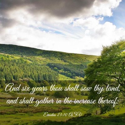 Picture 03 - Exodus 23:10 ASV - And six years thou shalt sow thy land, and shalt - Bible Verse Picture
