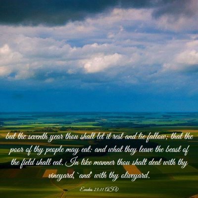 Picture 03 - Exodus 23:11 ASV - but the seventh year thou shalt let it rest and - Bible Verse Picture