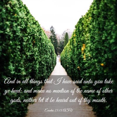 Picture 03 - Exodus 23:13 ASV - And in all things that I have said unto you take - Bible Verse Picture