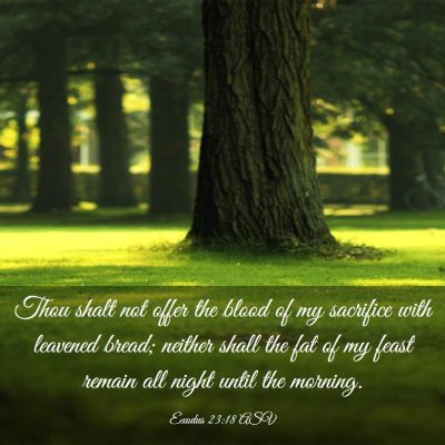 Picture 03 - Exodus 23:18 ASV - Thou shalt not offer the blood of my sacrifice - Bible Verse Picture