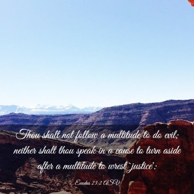 Picture 03 - Exodus 23:2 ASV - Thou shalt not follow a multitude to do evil; - Bible Verse Picture