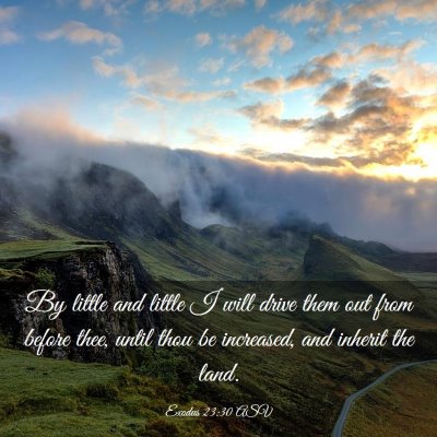 Picture 03 - Exodus 23:30 ASV - By little and little I will drive them out from - Bible Verse Picture