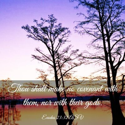 Picture 03 - Exodus 23:32 ASV - Thou shalt make no covenant with them, nor with - Bible Verse Picture