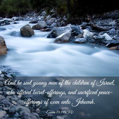 Picture 03 - Exodus 24:5 ASV - And he sent young men of the children of Israel, - Bible Verse Picture