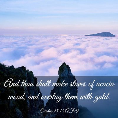 Picture 03 - Exodus 25:13 ASV - And thou shalt make staves of acacia wood, and - Bible Verse Picture