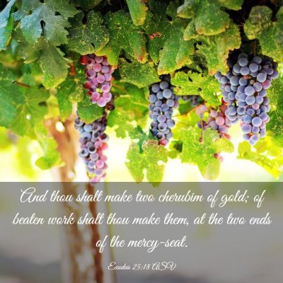 Picture 03 - Exodus 25:18 ASV - And thou shalt make two cherubim of gold; of - Bible Verse Picture