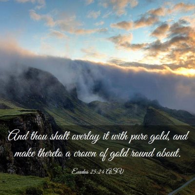 Picture 03 - Exodus 25:24 ASV - And thou shalt overlay it with pure gold, and - Bible Verse Picture