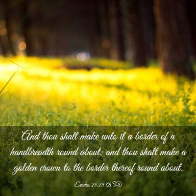 Picture 03 - Exodus 25:25 ASV - And thou shalt make unto it a border of a - Bible Verse Picture