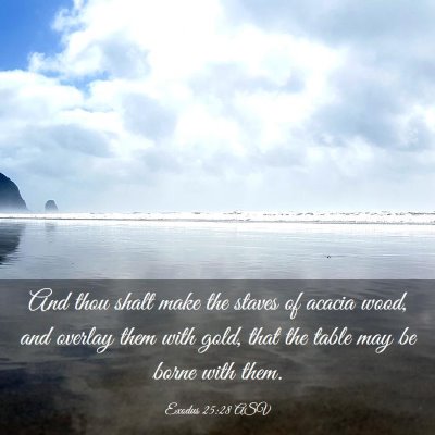 Picture 03 - Exodus 25:28 ASV - And thou shalt make the staves of acacia wood, - Bible Verse Picture