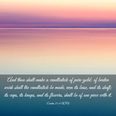 Picture 03 - Exodus 25:31 ASV - And thou shalt make a candlestick of pure gold: - Bible Verse Picture