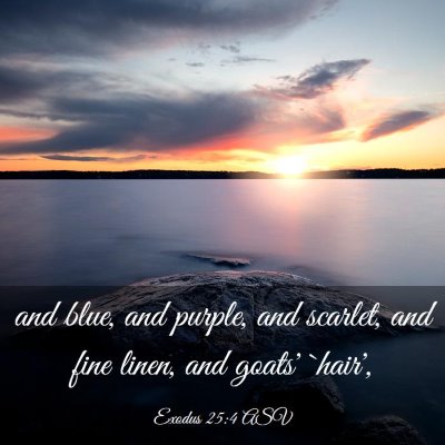 Picture 03 - Exodus 25:4 ASV - and blue, and purple, and scarlet, and fine - Bible Verse Picture