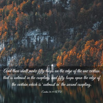 Picture 03 - Exodus 26:10 ASV - And thou shalt make fifty loops on the edge of - Bible Verse Picture