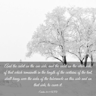 Picture 03 - Exodus 26:13 ASV - And the cubit on the one side, and the cubit on - Bible Verse Picture