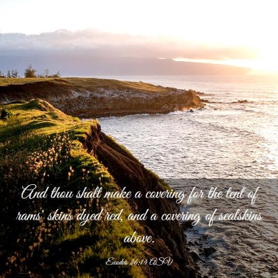Picture 03 - Exodus 26:14 ASV - And thou shalt make a covering for the tent of - Bible Verse Picture