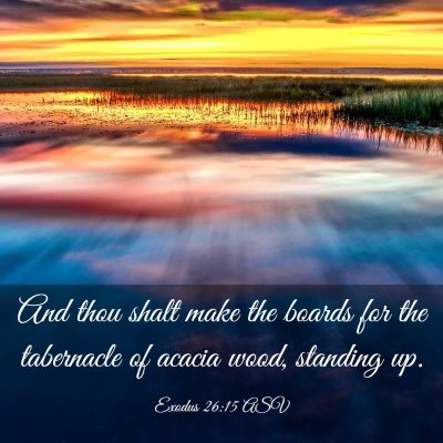 Picture 03 - Exodus 26:15 ASV - And thou shalt make the boards for the tabernacle - Bible Verse Picture