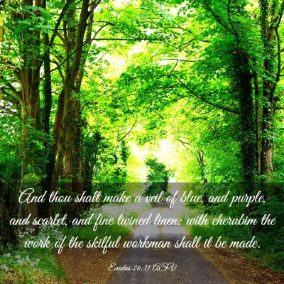 Picture 03 - Exodus 26:31 ASV - And thou shalt make a veil of blue, and purple, - Bible Verse Picture