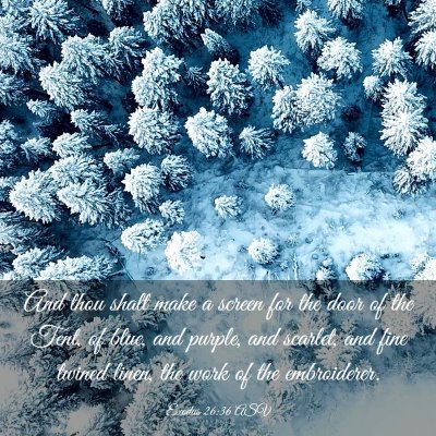 Picture 03 - Exodus 26:36 ASV - And thou shalt make a screen for the door of the - Bible Verse Picture