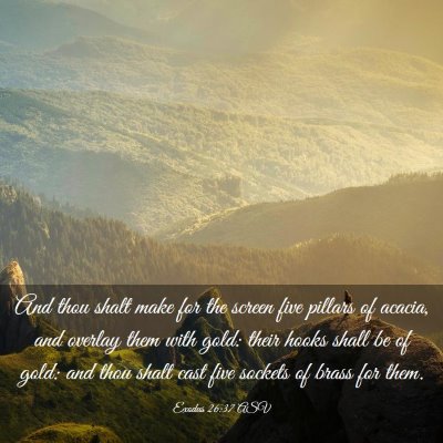 Picture 03 - Exodus 26:37 ASV - And thou shalt make for the screen five pillars - Bible Verse Picture