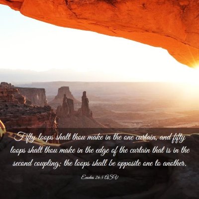 Picture 03 - Exodus 26:5 ASV - Fifty loops shalt thou make in the one curtain, - Bible Verse Picture