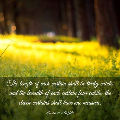 Picture 03 - Exodus 26:8 ASV - The length of each curtain shall be thirty - Bible Verse Picture