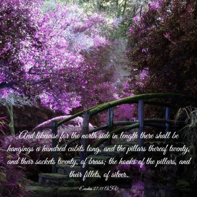 Picture 03 - Exodus 27:11 ASV - And likewise for the north side in length there - Bible Verse Picture