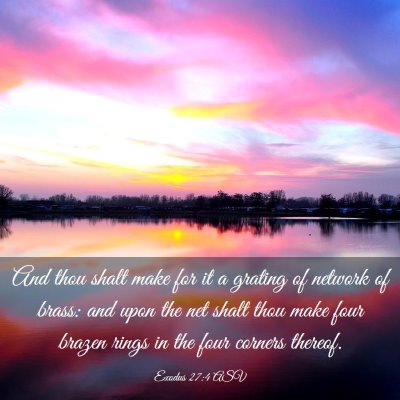 Picture 03 - Exodus 27:4 ASV - And thou shalt make for it a grating of network - Bible Verse Picture