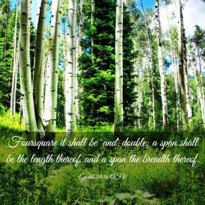 Picture 03 - Exodus 28:16 ASV - Foursquare it shall be `and' double; a span shall - Bible Verse Picture