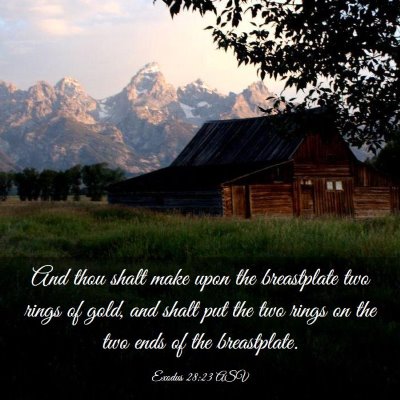 Picture 03 - Exodus 28:23 ASV - And thou shalt make upon the breastplate two - Bible Verse Picture