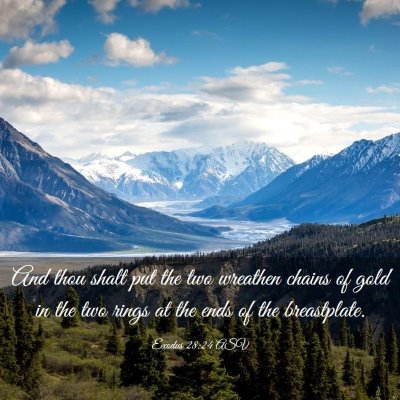 Picture 03 - Exodus 28:24 ASV - And thou shalt put the two wreathen chains of - Bible Verse Picture