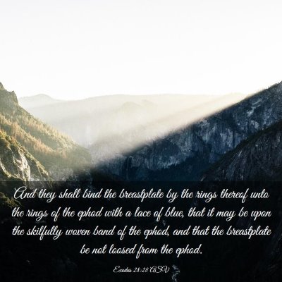 Picture 03 - Exodus 28:28 ASV - And they shall bind the breastplate by the rings - Bible Verse Picture